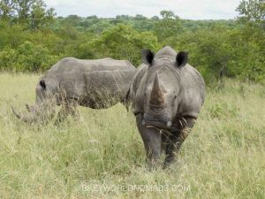 Kruger National Park Weather