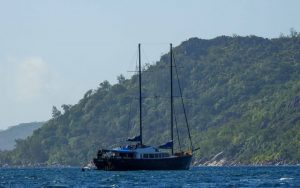 Praslin is one of the granite islands of the Seychelles with the best beaches you can imagine. A tropical paradise for nature lovers above and under the water.
