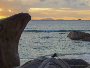 Praslin is one of the granite islands of the Seychelles with the best beaches you can imagine. A tropical paradise for nature lovers above and under the water.
