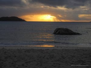 Praslin is one of the granite islands of the Seychelles with the best beaches you can imagine. A tropical paradise for nature lovers above and under the water.