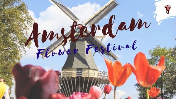 Amsterdam Flower Festival Tulip Fields Netherlands Global Grey